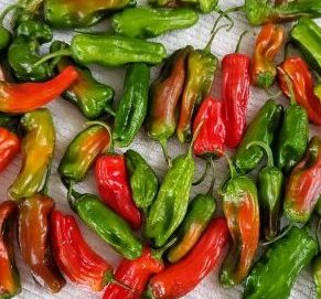 Shishito Peppers