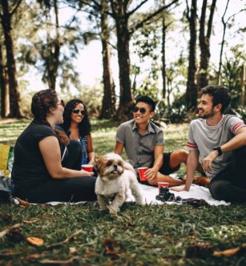 group-of-people-sitting-on-white-mat-on-grass-field-745045